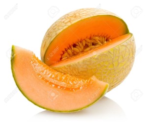 12030342-cantaloupe-melon-Stock-Photo-watermelon