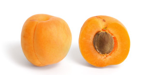 Apricot_and_cross_section