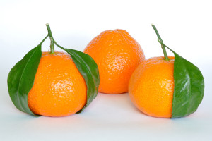 Mandarin_Oranges_(Citrus_Reticulata)