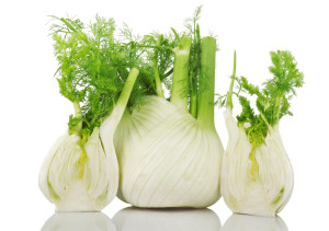 Subject: On 2013-03-15, at 1:45 PM, Pereira, Tania wrote: Fennel Fennel bulb dreamstime  dreamstime_xl_18456234.jpg  dreamstime_xl_22087184 (1).jpg  dreamstime_xl_2009882.jpg